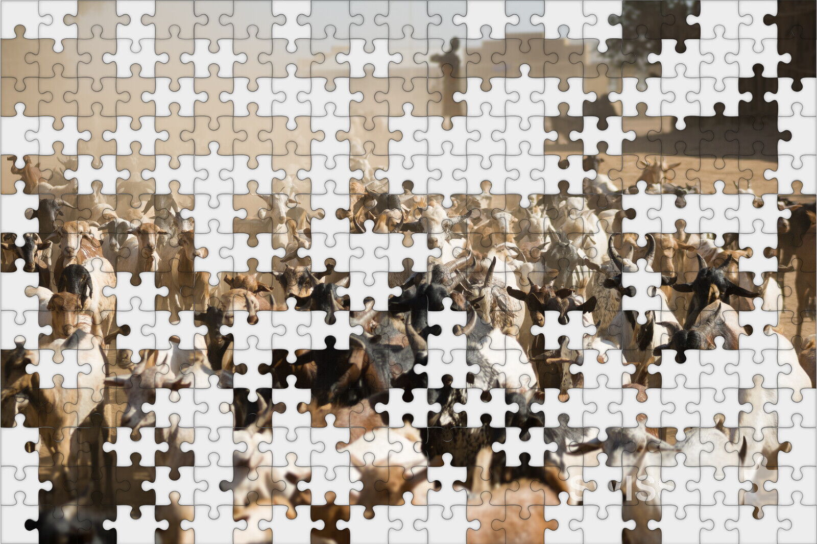 Puzzle Image